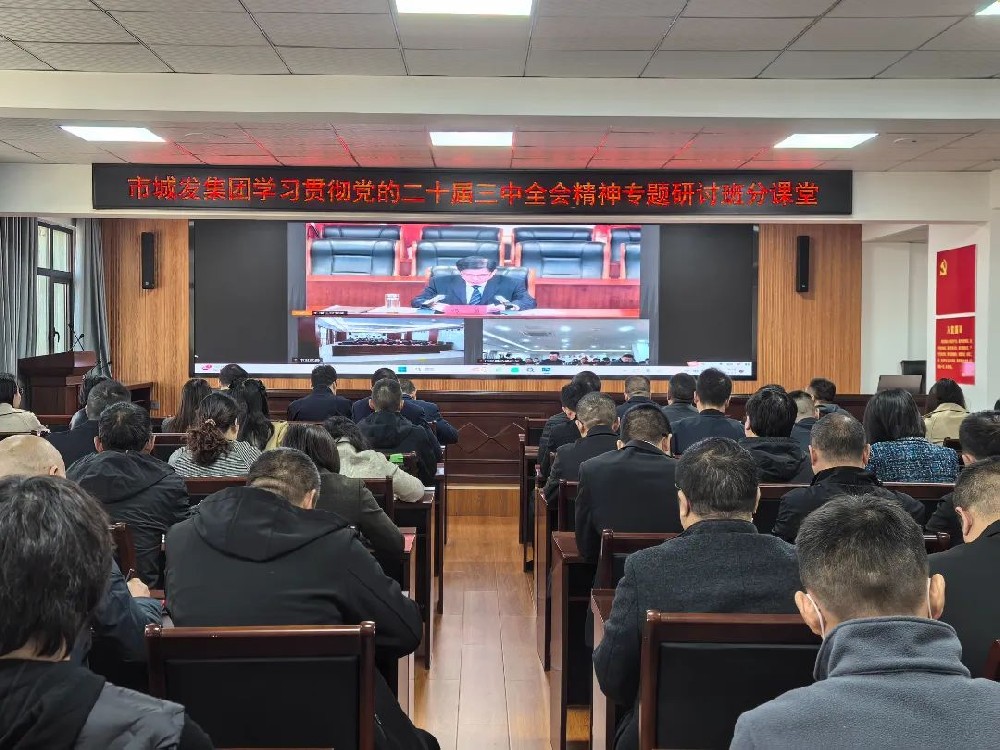 城发集团开展学习贯彻党的二十届三中全会精神专题研讨班分课堂活动