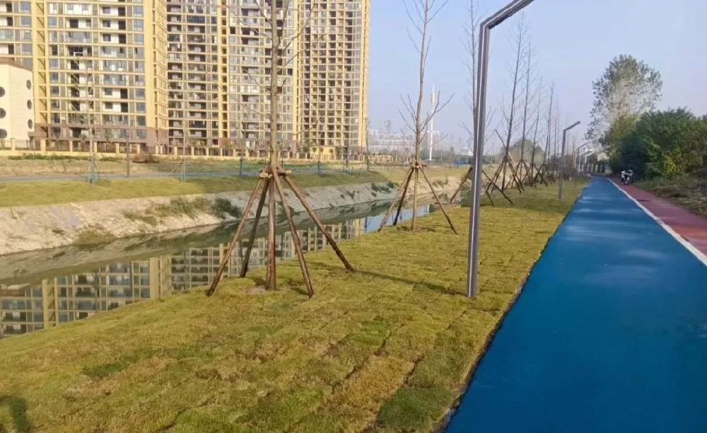 “城”报 | 一周动态回顾（11月11日-11月17日）