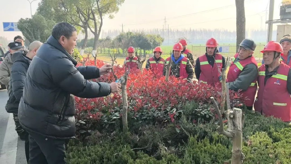 【城运集团】精细冬剪正当时 只为来年绿意浓