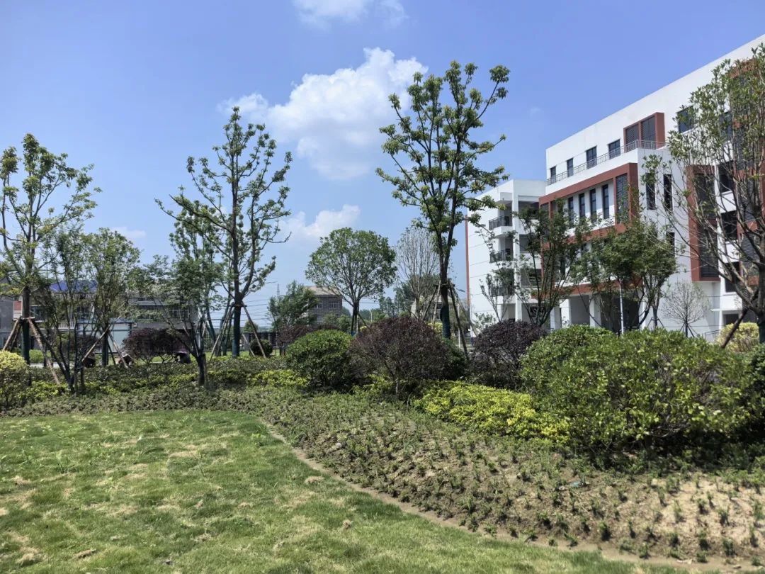 1748568392538847.jpg 微信图片_20250530092623.jpg