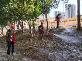 构建防蚊屏障 筑牢健康防线 | 鸿韵公司开展防蚊灭蚊专项行动