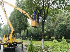 精心管养迎双节 | 鸿韵公司启动节前绿化养护专项行动