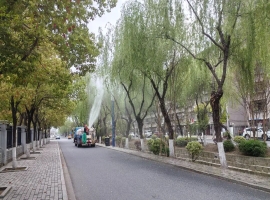 【城运集团】精准施策治飞絮 务实履职暖民心